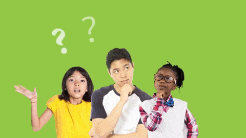 Identify Target Audience